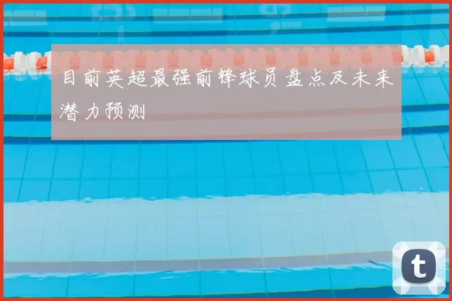 目前英超最强前锋球员盘点及未来潜力预测