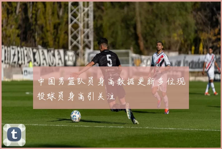 中国男篮队员身高数据更新多位现役球员身高引关注