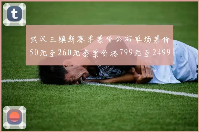 武汉三镇新赛季票价公布单场票价50元至260元套票价格799元至2499元