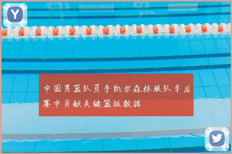 中国男篮队员李凯尔森林狼队季后赛中贡献关键篮板数据