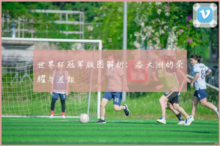 世界杯冠军版图解析：各大洲的荣耀与差距