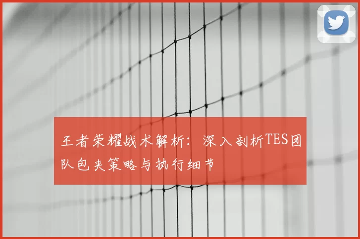 王者荣耀战术解析：深入剖析TES团队包夹策略与执行细节