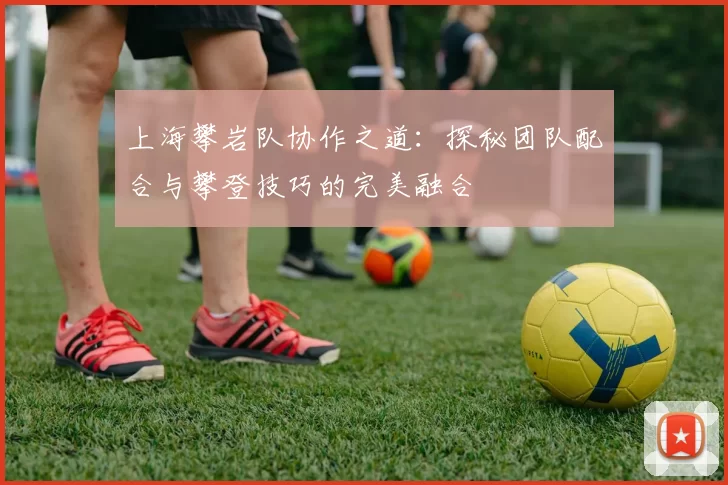 上海攀岩队协作之道:探秘团队配合与攀登技巧的完美融合