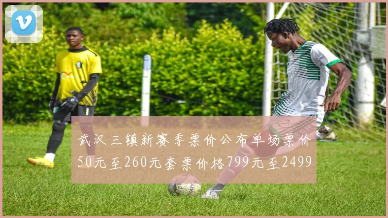 武汉三镇新赛季票价公布单场票价50元至260元套票价格799元至2499元