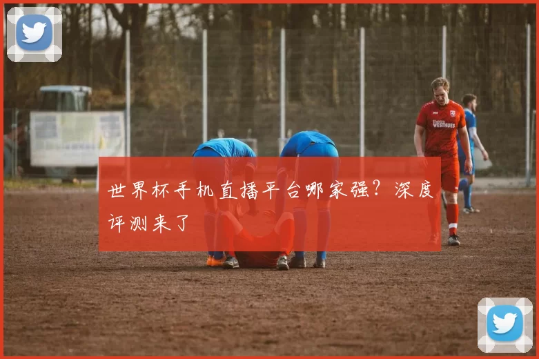 世界杯手机直播平台哪家强?深度评测来了