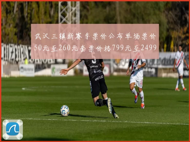 武汉三镇新赛季票价公布单场票价50元至260元套票价格799元至2499元