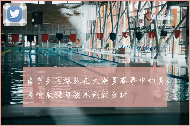南京乒乓球队在大满贯赛事中的灵活性表现与战术创新分析