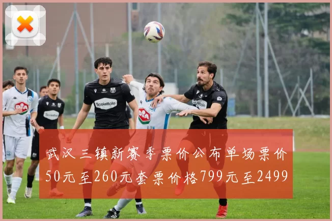 武汉三镇新赛季票价公布单场票价50元至260元套票价格799元至2499元
