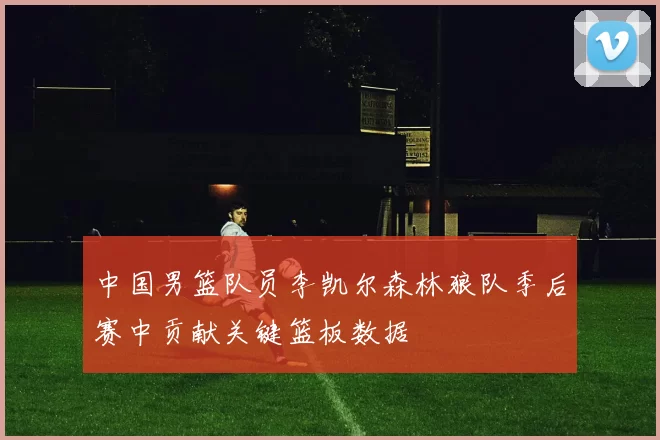 中国男篮队员李凯尔森林狼队季后赛中贡献关键篮板数据