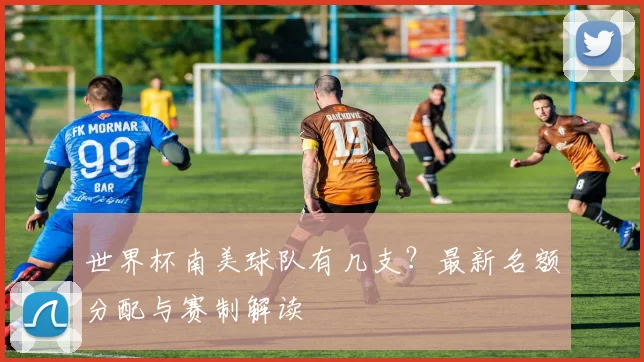 世界杯南美球队有几支?最新名额分配与赛制解读