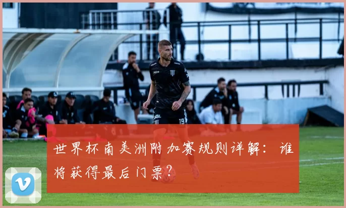 世界杯南美洲附加赛规则详解:谁将获得最后门票?