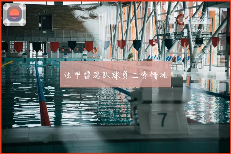 法甲雷恩队球员工资情况