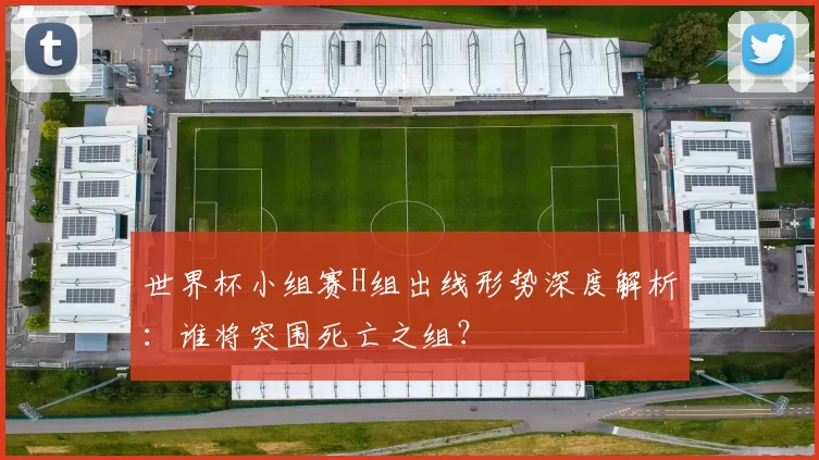 世界杯小组赛H组出线形势深度解析：谁将突围死亡之组？